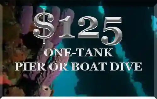 Price for one-tank pier or boat dive with St Croix Ultimate Bluewater Adventures