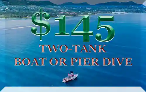 PRICING FOR CERTIFIED SCUBA DIVERS WITH ST CROIX ULTIMATE BLUEWATER ADVENTURES