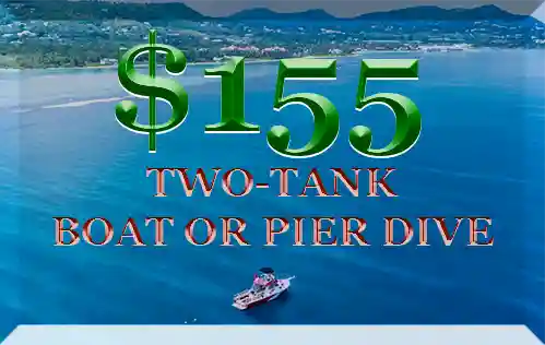 PRICE FOR BOAT SCUBA DIVES WITH ST CROIX ULTIMATE BLUEWATER ADVENTURES