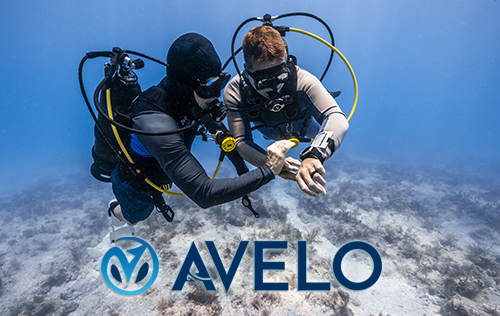 Avelo_buoyancy
