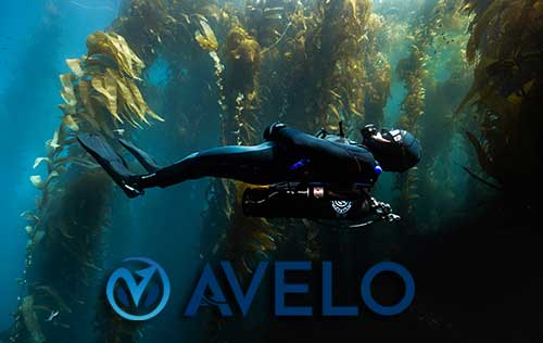 Avelo_movement