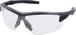 HOWARD LEIGHT ACADIA GLASSES