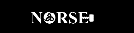 Norse Tactical training