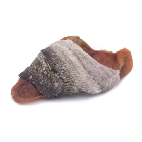 Icelandic Treat Cod & Sea Cucumber Sticks 32 oz