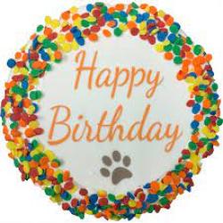 K9 Happy Birthday Cake Dog
