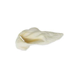 Home Range Cow Ear Large Single