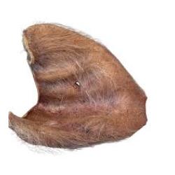 MOMENTUM FD HAIRY PIG EAR Single