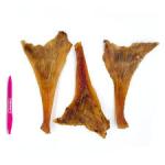 TND Ostrich Long Tendons