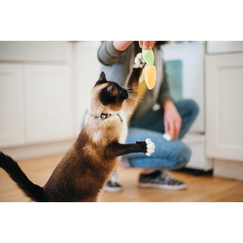 PLAY Cat Toy Purrfect Picnic