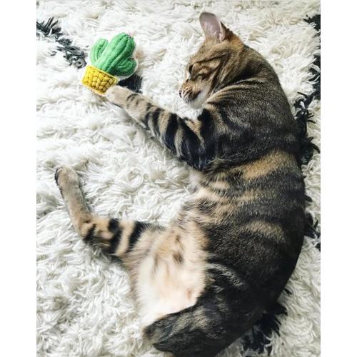 Miso Handmade Cat Toy Catnip Cactus