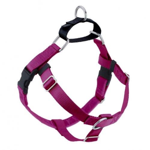 Freedom Harness Raspberry