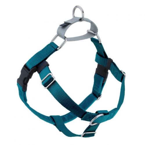 Freedom Harness Teal