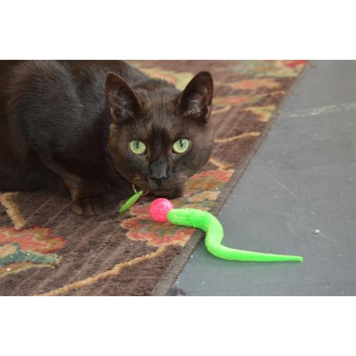 DeziRoo Wiggly Bouncy Ball