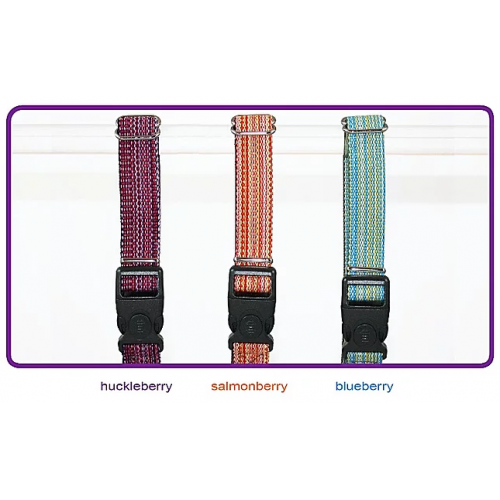 Goli Dog Collar Haight Ashberry 
