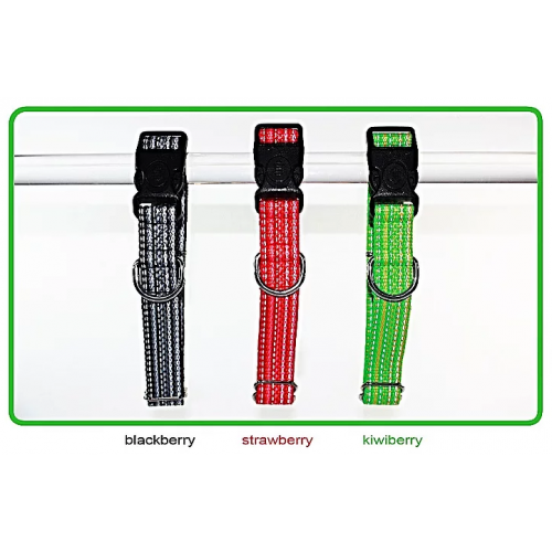 Goli Dog Collar Reflective Haight Ashberry