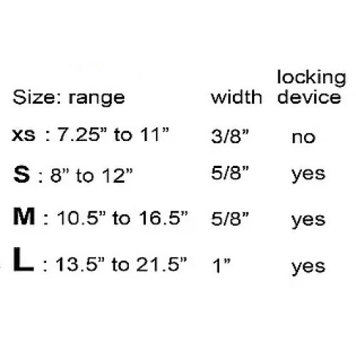 Goli Dog Collar Reflective Haight Ashberry