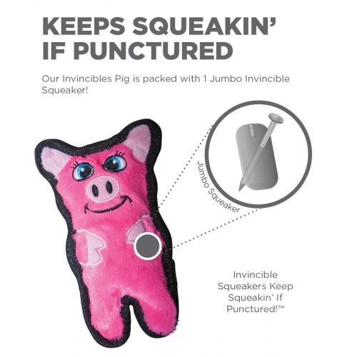 OH Durablez Mini Pig