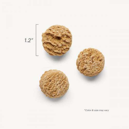 Honest Kitchen Milk n' Cookies Pumpkin 8oz