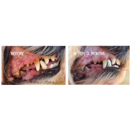 PlaqueOff Powder 60gram