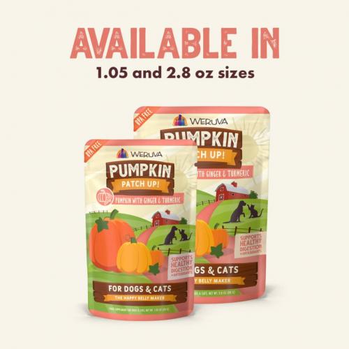 Weruva Pumpkin Ginger Pouch 2.8oz