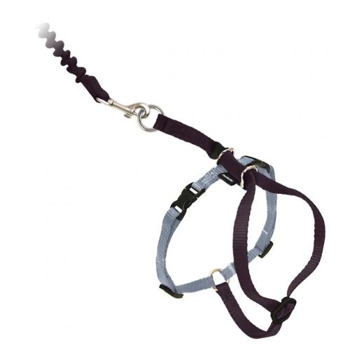 PetSafe Come with Me Kitty Harness in Black