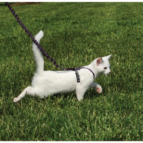 PetSafe Come with Me Kitty Harness in Black