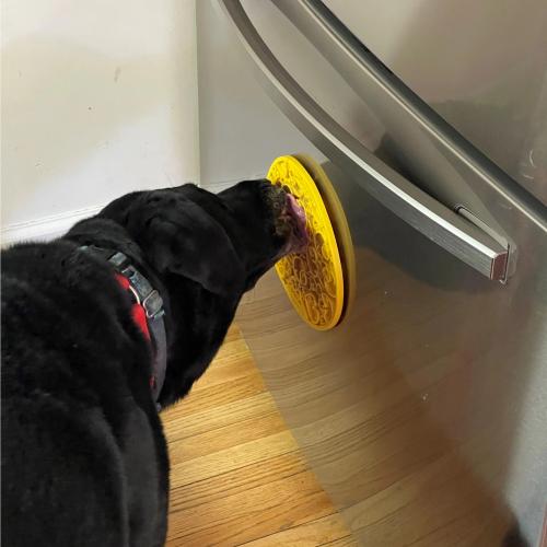 Soda Pup Lick Mat with Suction Cups Duckies