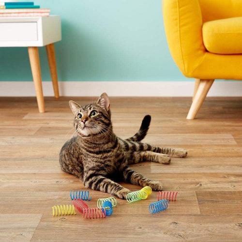 Bulk Cat Toy - Spring