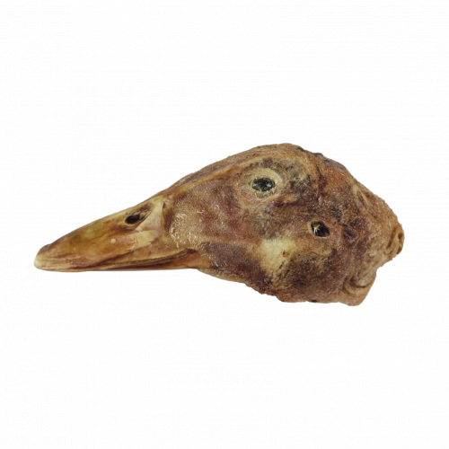 Duck Head (Freeze-Dried)