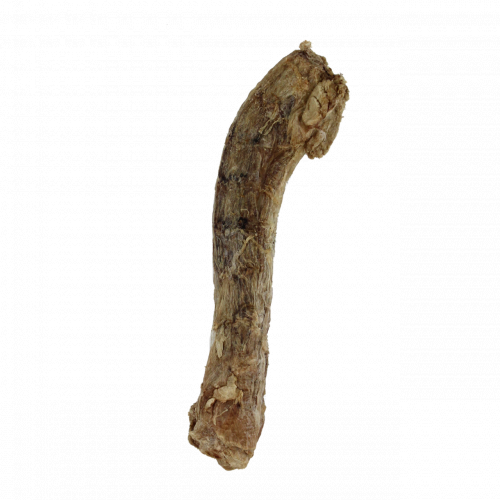 Duck Neck (Freeze-Dried)