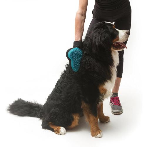 MessyMutts Silicone Grooming Glove