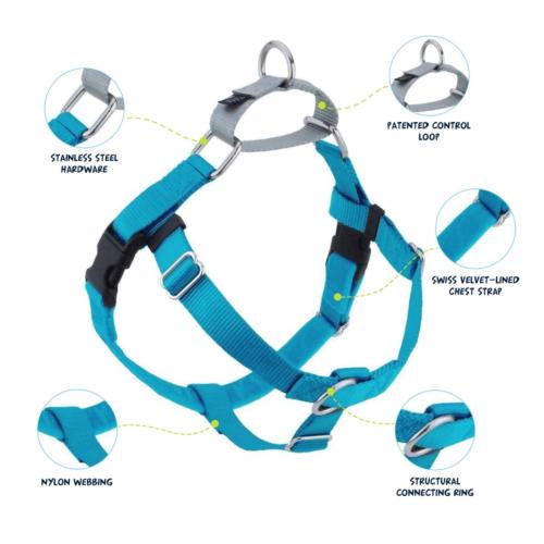 Freedom Harness Turquoise