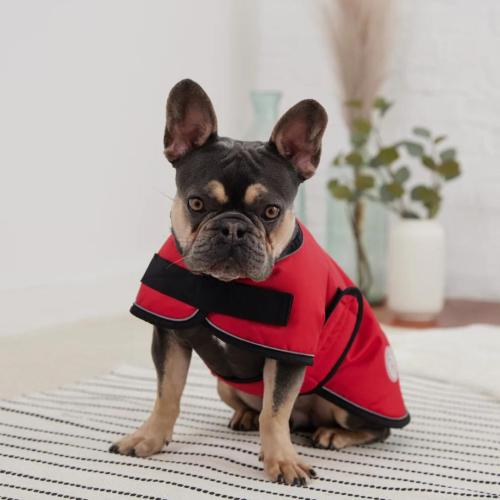 GF Pet Blanket Jacket Red Large