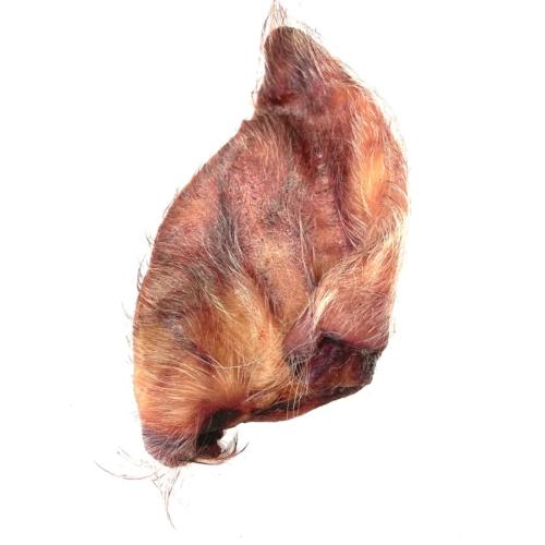 Hairy Pig Ear