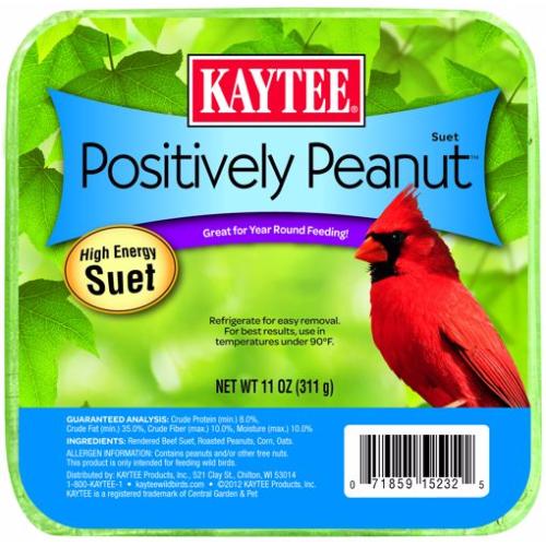 Kaytee Suet Positively Peanut 11oz
