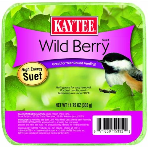 Kaytee Suet Wild Berry 11.75oz
