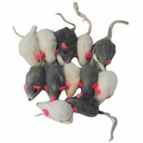 GoCat Short Hair Mouse