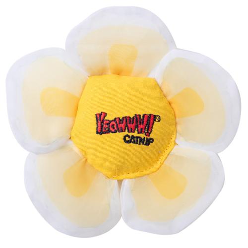 Yeowww! Catnip Daisies - White
