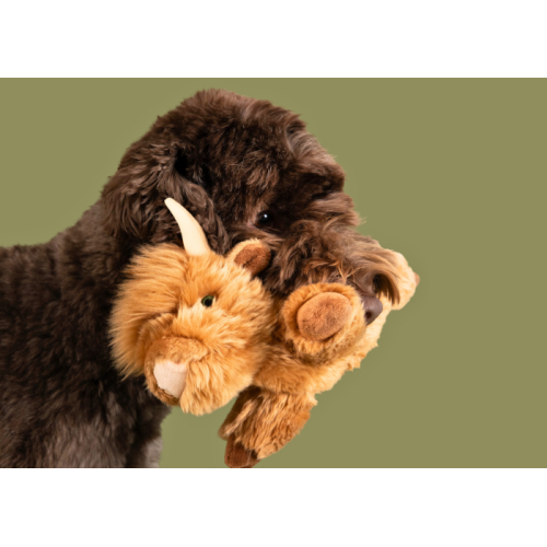 Fluff & Tuff Shaggy the Highland Cow