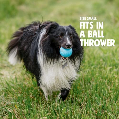 West Paw Boundr Glow 2pack