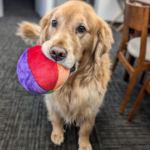 Fluff & Tuff Mini Beach Ball