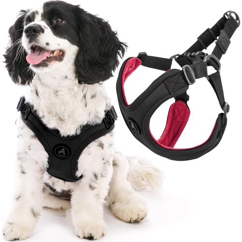 Gooby Escape-Free Sport Harness Black