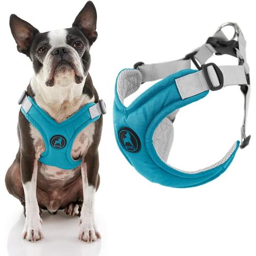 Gooby Memory Foam Step-In Harness Turquoise