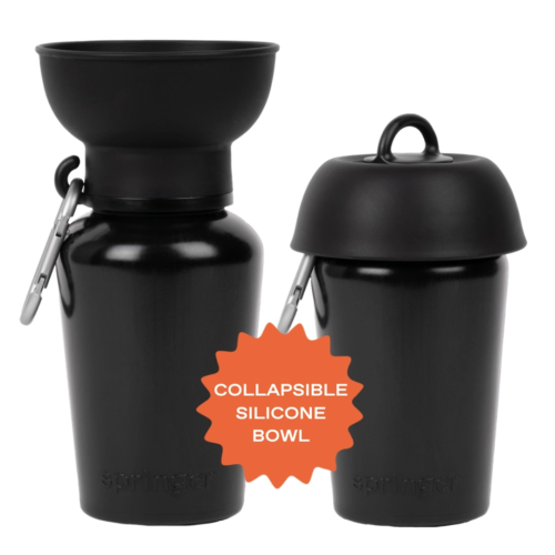 Springer Flip Travel Bottle Black 20oz