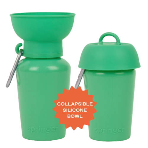 Springer Flip Travel Bottle Green 20oz