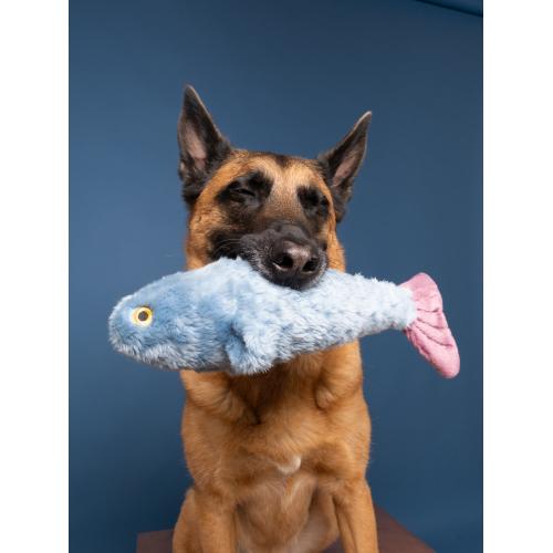 Fluff & Tuff Fitz Fish
