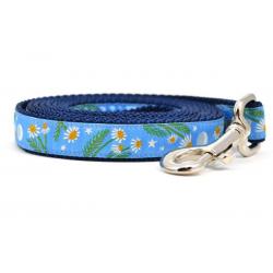 Six Point Pet Chamomile 6' Leash Light Blue Small 3/4