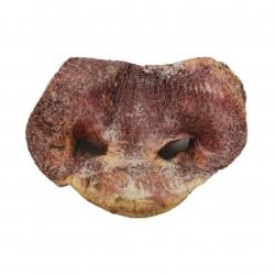 Pig Snout (Freeze-Dried)
