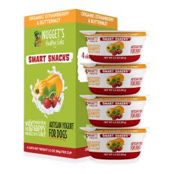 Individual Fro-Yo Cup: Strawberry Butternut