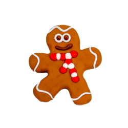 Bosco & Roxy's Gingerbread Man
